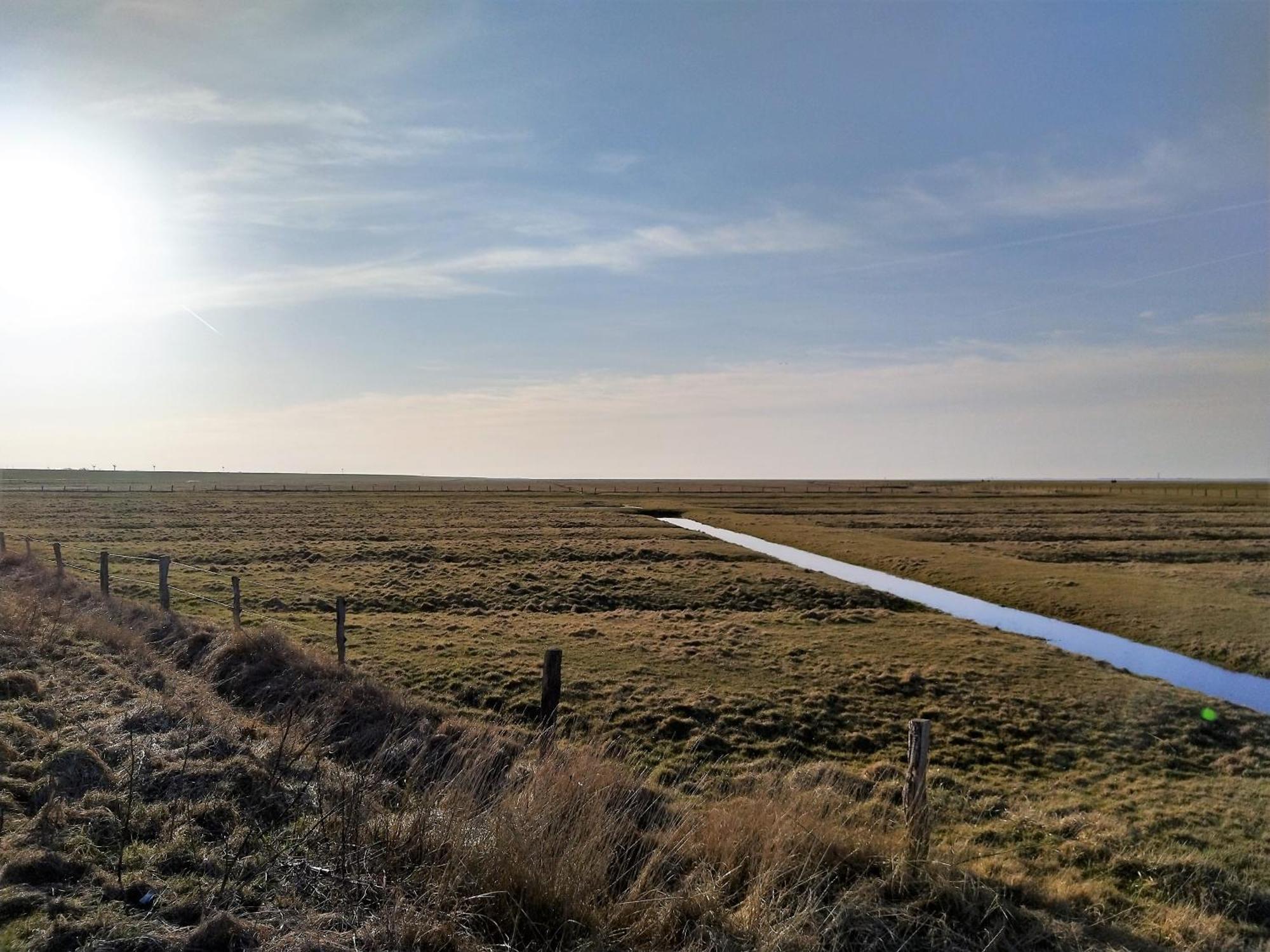 Ferienhaus Kolibri, Exklusiv Und Familiaer In Nessmersiel Mit Anbindung Nach Baltrum Exterior photo